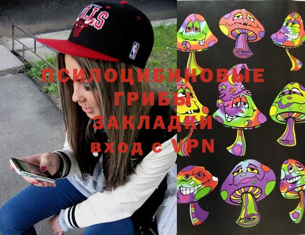 трава Елабуга