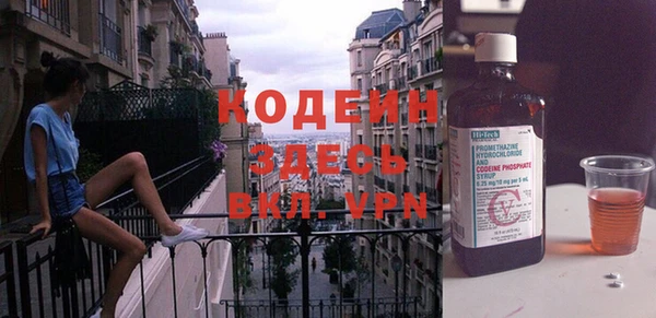 хмурый Мегион